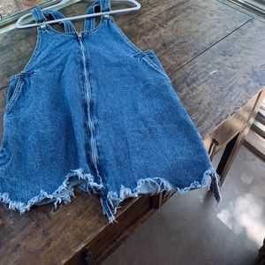 Zara Fringe Denim Overall Dress